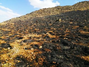 بی احتیاطی گردشگران، آتش به جان ۲ هکتار از مراتع اقلید فارس افکند 