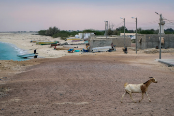 L'île de Hendourabi est une île iranienne du golfe Persique dans le sud du pays 