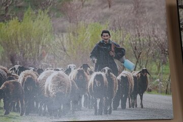 نمایشگاه عکس گروهی در بوکان