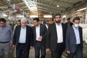 بازدید سرزده معاون قضایی دادستان کل کشور از شهرک صنعتی قرچک