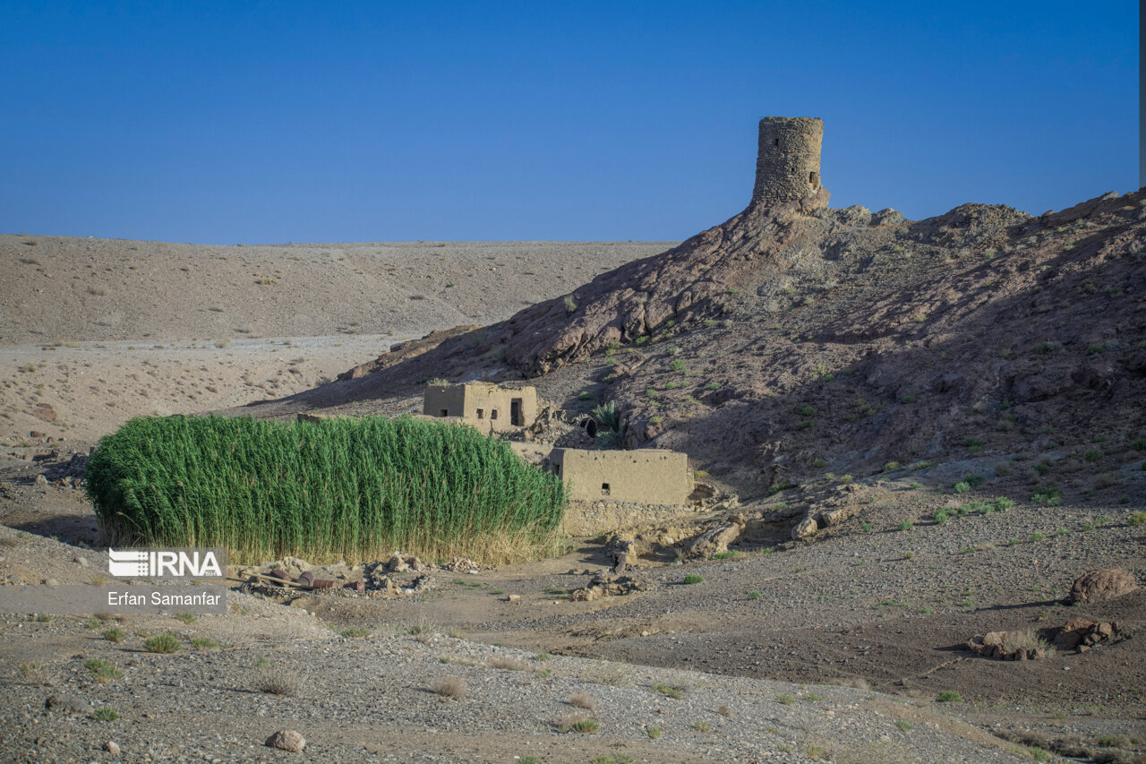 پناهگاه حیات وحش نایبندان