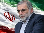 ترور دانشمندان ایرانی نشانه ضعف و ناتوانی دشمنان است