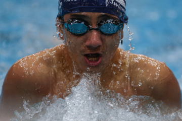 Des compétitions de natation à Téhéran 