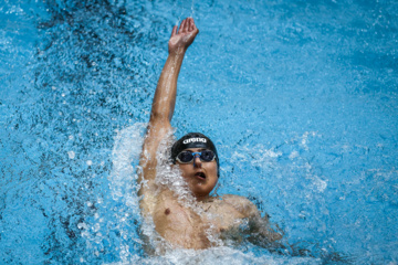 Des compétitions de natation à Téhéran 