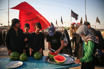 Arbaeen walk; Divaniyeh route