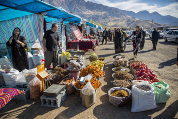 جشنواره شکرانه محصول انار شهرستان پاوه