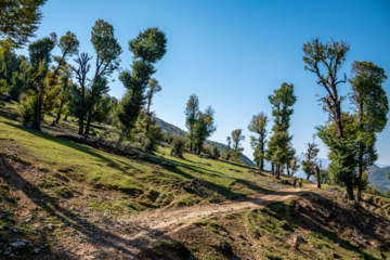 دشت مرکوه در استان گلستان