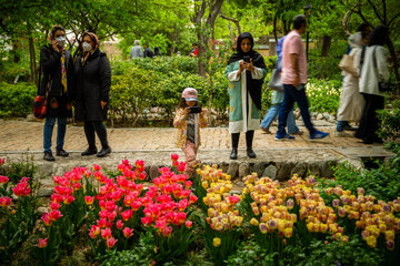 Fiesta de tulipanes en el Jardín Iraní