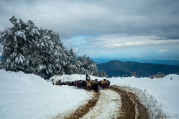 Nieve otoñal en Mazandarán