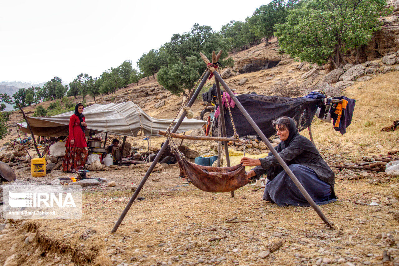 ۵۵۰ خانوار عشایر در دشت لار شمیرانات مستقر شدند