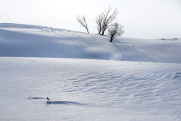 La beauté de la nature hivernale dans le village de Chibli, au nord-ouest du pays