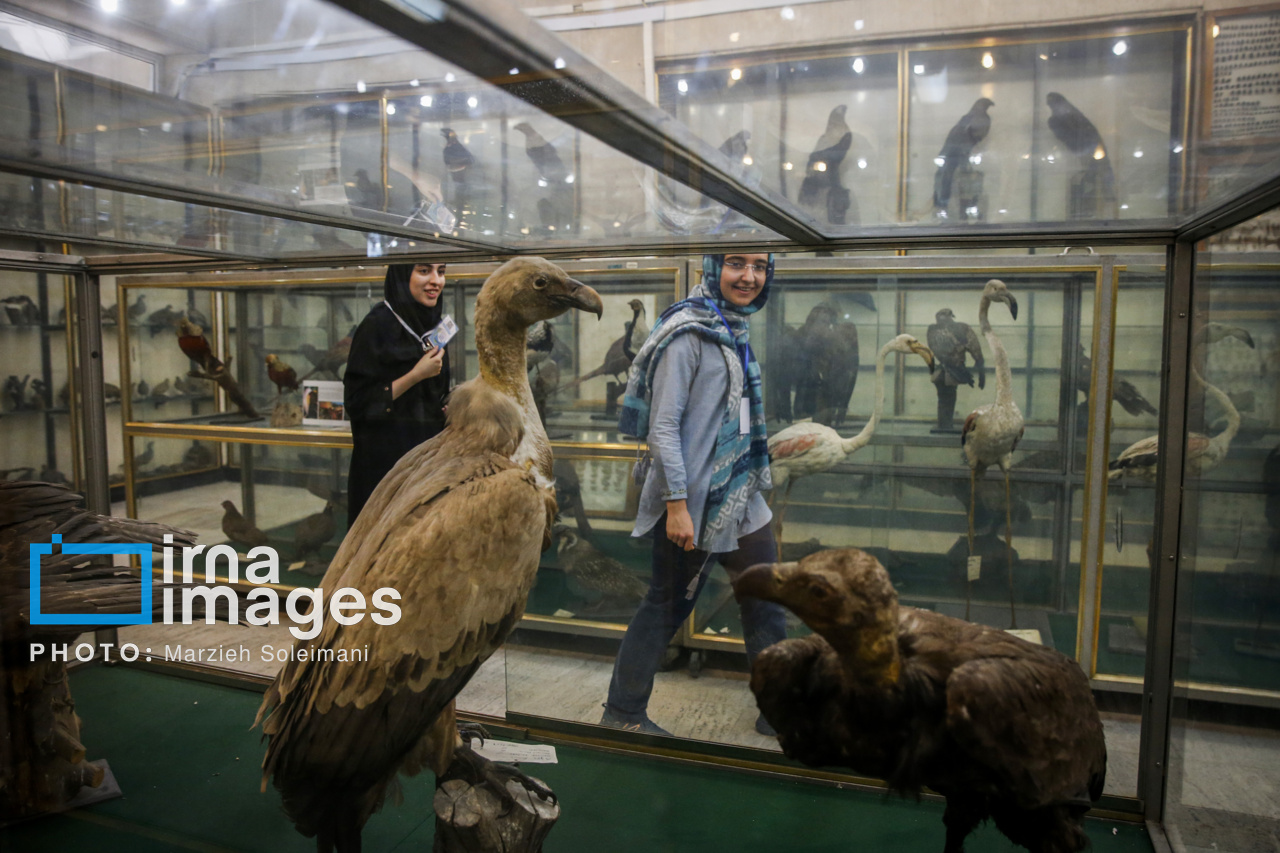 هشتمین دوره روزی با دانشگاه تهران