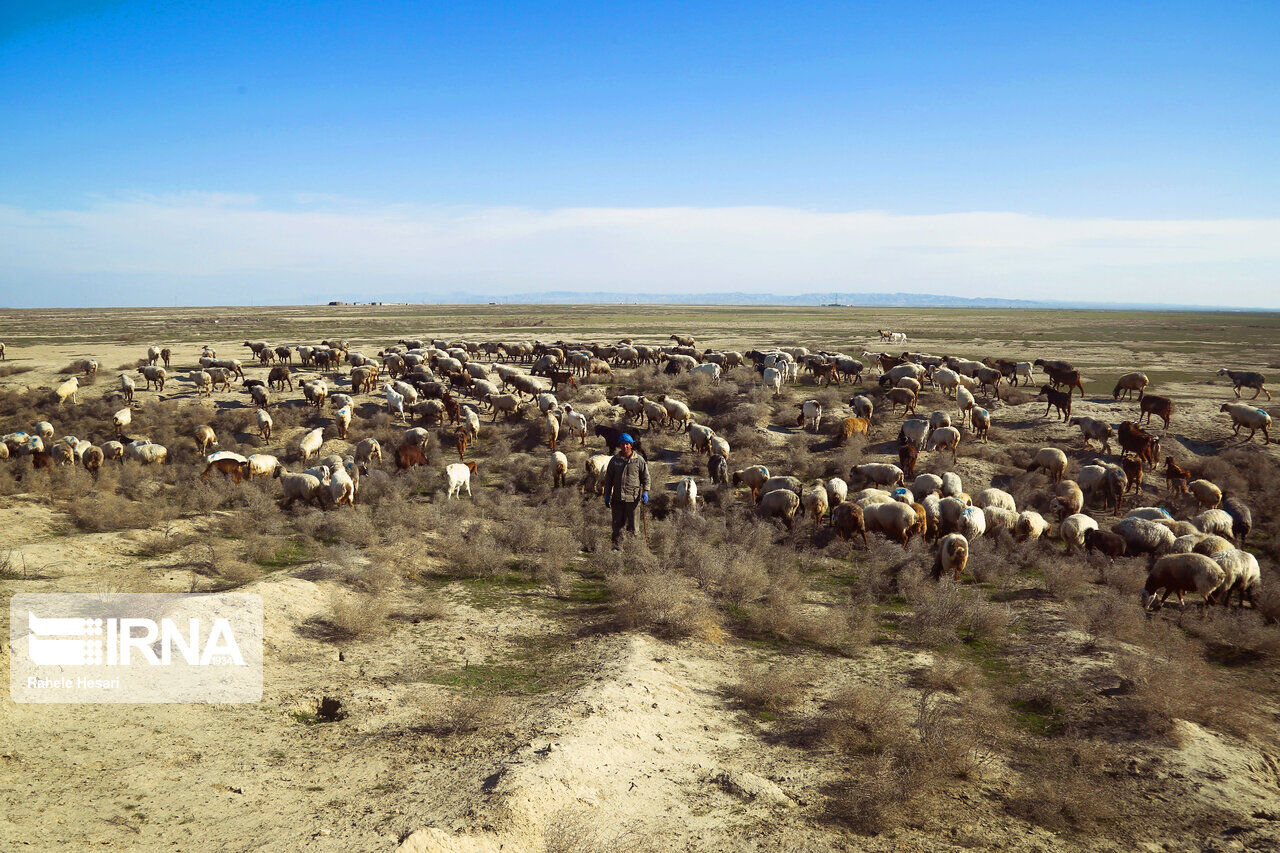 خروج 450 هزارهکتار زمین از غبارخیزی، نتیجه احیای دریاچه ارومیه