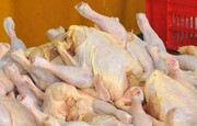 توزیع روزانه ۴۵ تُن گوشت مرغ در بازار خراسان‌شمالی/ هیچ کمبودی وجود ندارد