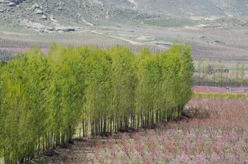 دانشگاه ارومیه