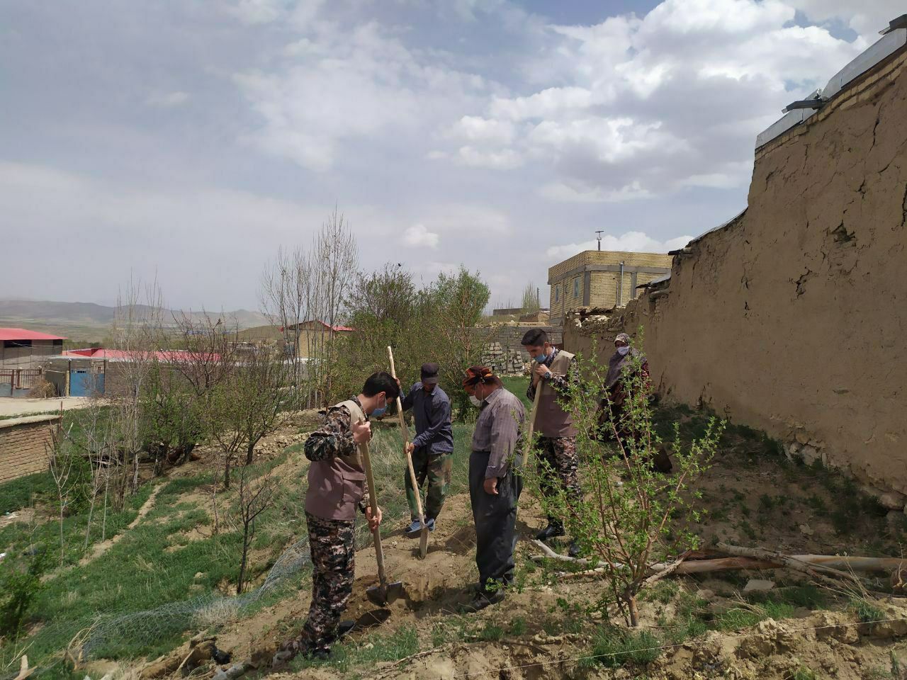 ۷ هزار اصله نهال توسط جهادگران در روستاهای تکاب کاشته شد