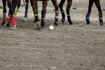 Coupe Lotus de la Ligue Nationale de polo