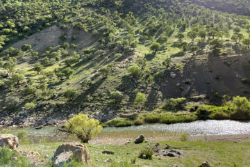 طبیعت بکر و هزار رنگ هرسین