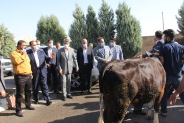 سفر معاون پارلمانی رییس‌جمهوری به میاندوآب‌