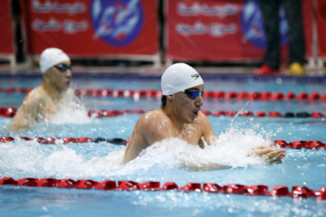 Competiciones nacionales de Natación en Piscina Corta