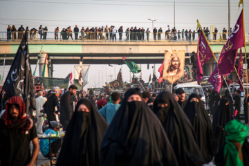 Arbaeen walk; Divaniyeh route