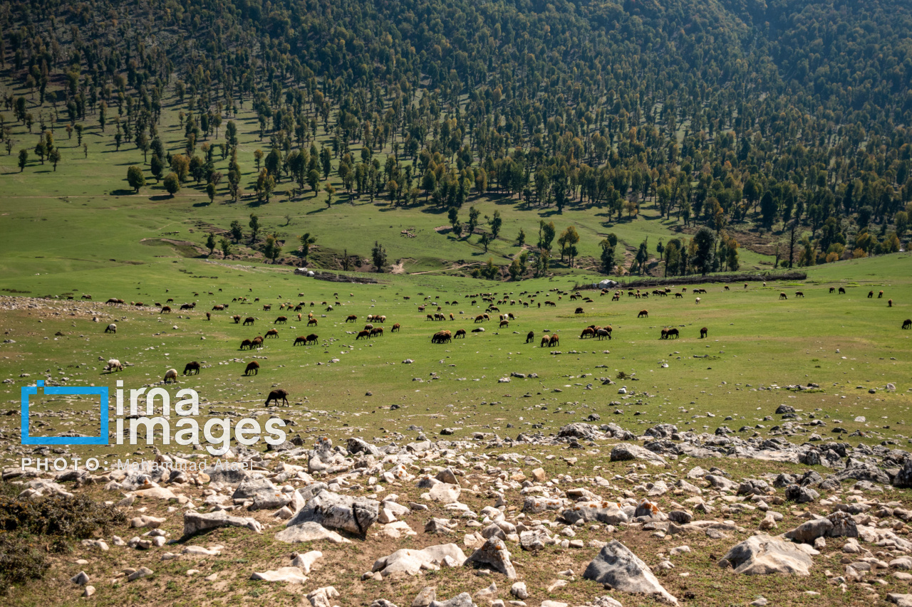 دشت مرکوه در استان گلستان