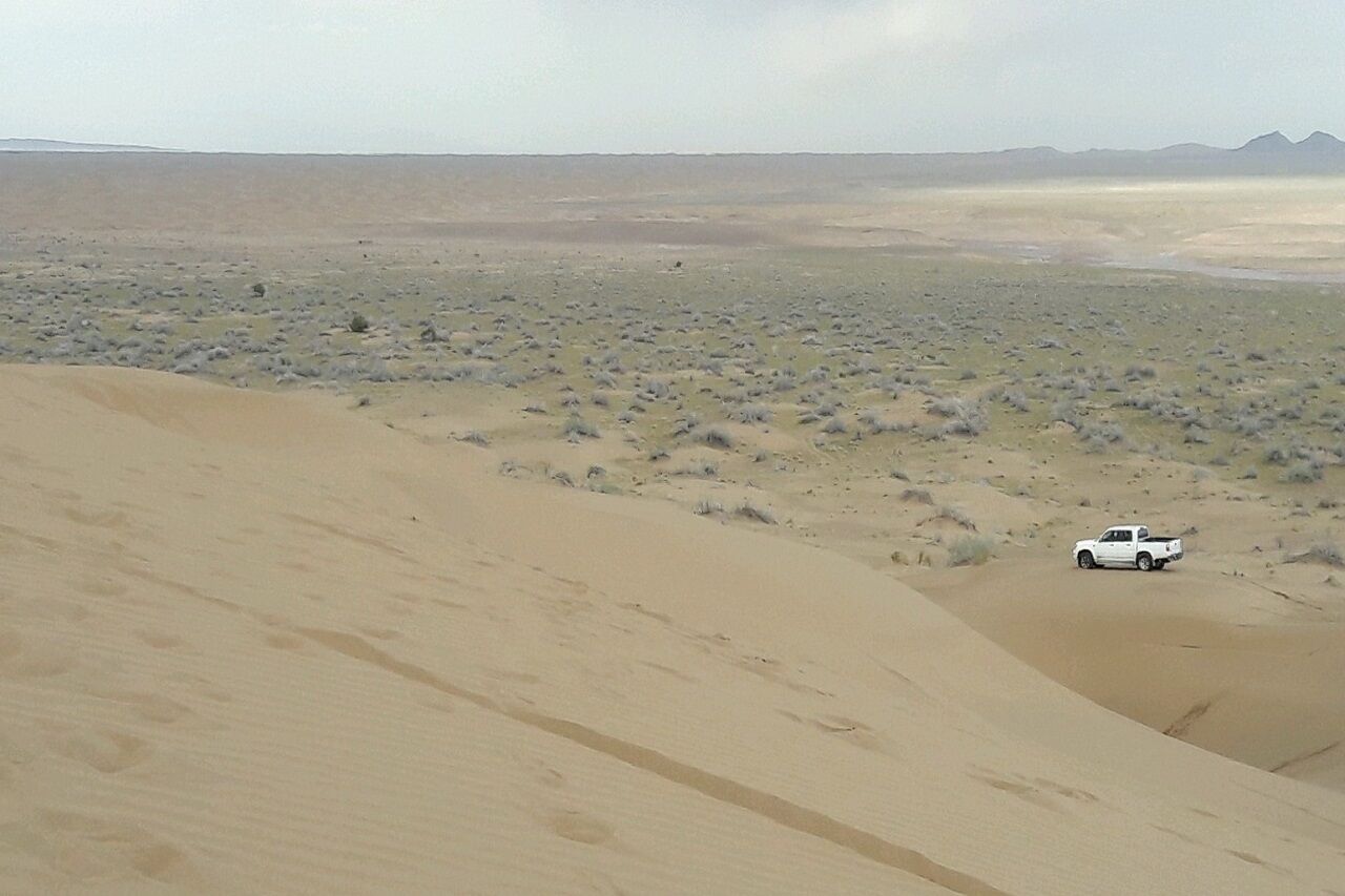 بارش باران در نقاط کویری آران‌وبیدگل