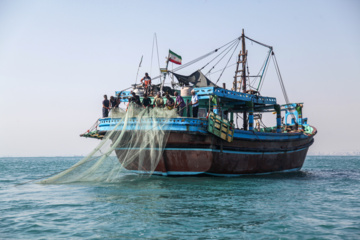 Pesca de camarones y peces en el Golfo Pérsico