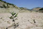 کاهش بارندگی در همدان طی ۴۵ سال گذشته بی‌سابقه است