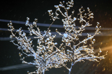 Iran : chute de neiges à Sanandaj 