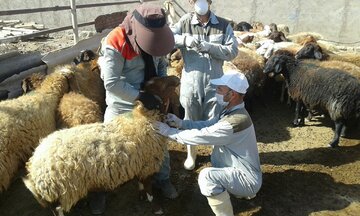 نماینده مجلس: احیای جهاد سازندگی موجب رونق اقتصاد روستاها می‌شود