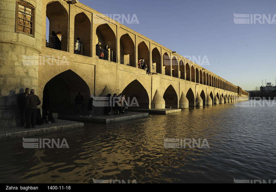 میزبانی زاینده رود از پرندگان مهاجر