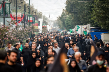 Arbaeen mourners hold rally