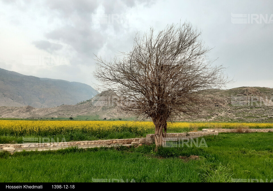 دیدنیهای ایران - کهگیلویه و بویر احمد