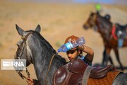 Endurance riding competition in Iran