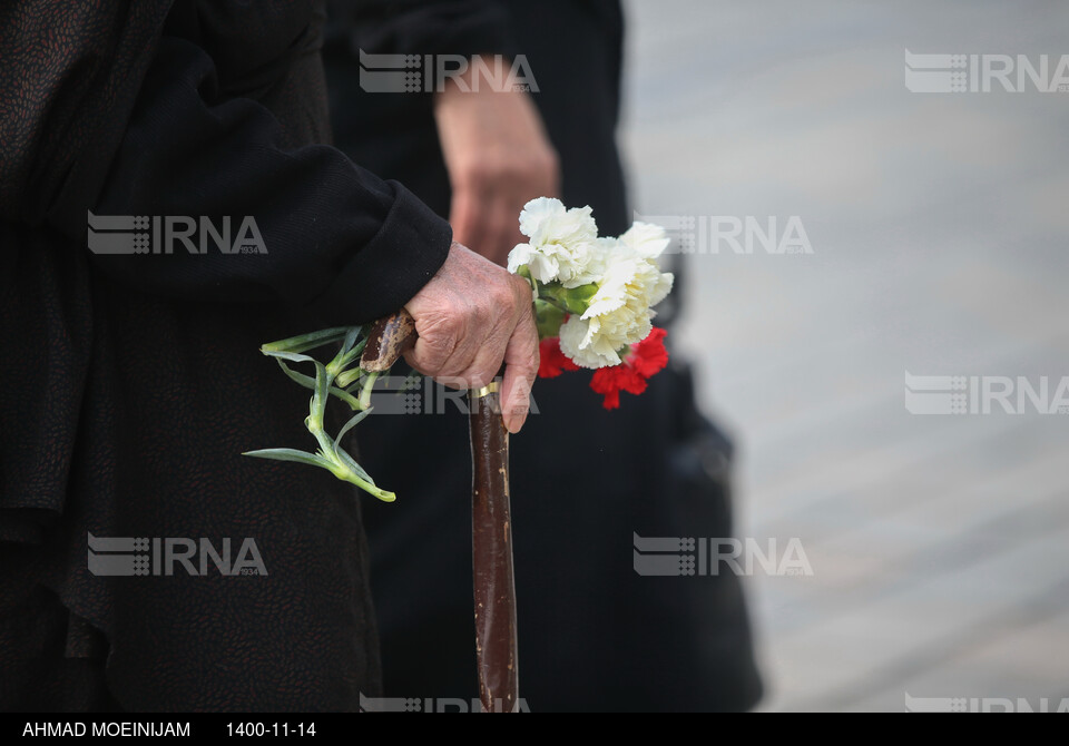 میهمانی لاله‌ها