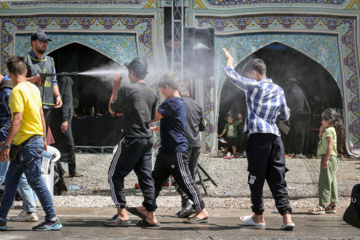 زائران پیاده در راه مشهد الرضا(ع)