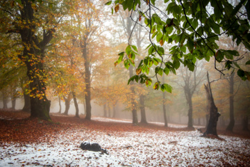 Nieve otoñal en Mazandarán