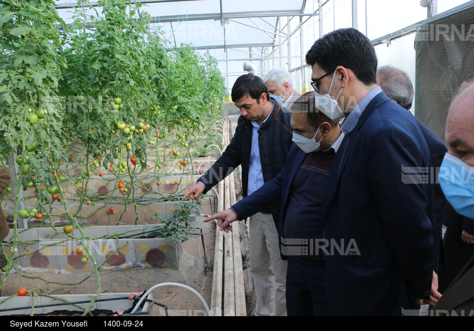 رونمایی از سامانه دانش بنیان نانو حباب در ارس