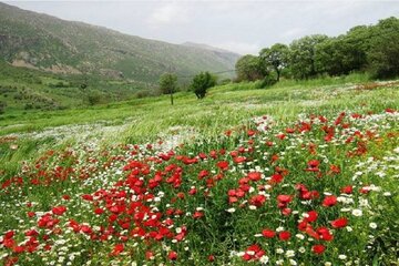 کردستان چشم انتظار سخاوت آسمان