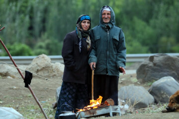 زندگی عشایر در مراتع همدان