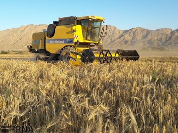 استقرار ۲۰۰ کمباین در دهلران برای برداشت محصول گندم کاران 