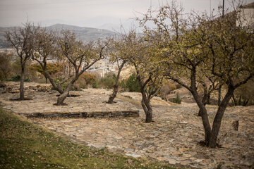 زیبایی فصل پاییز