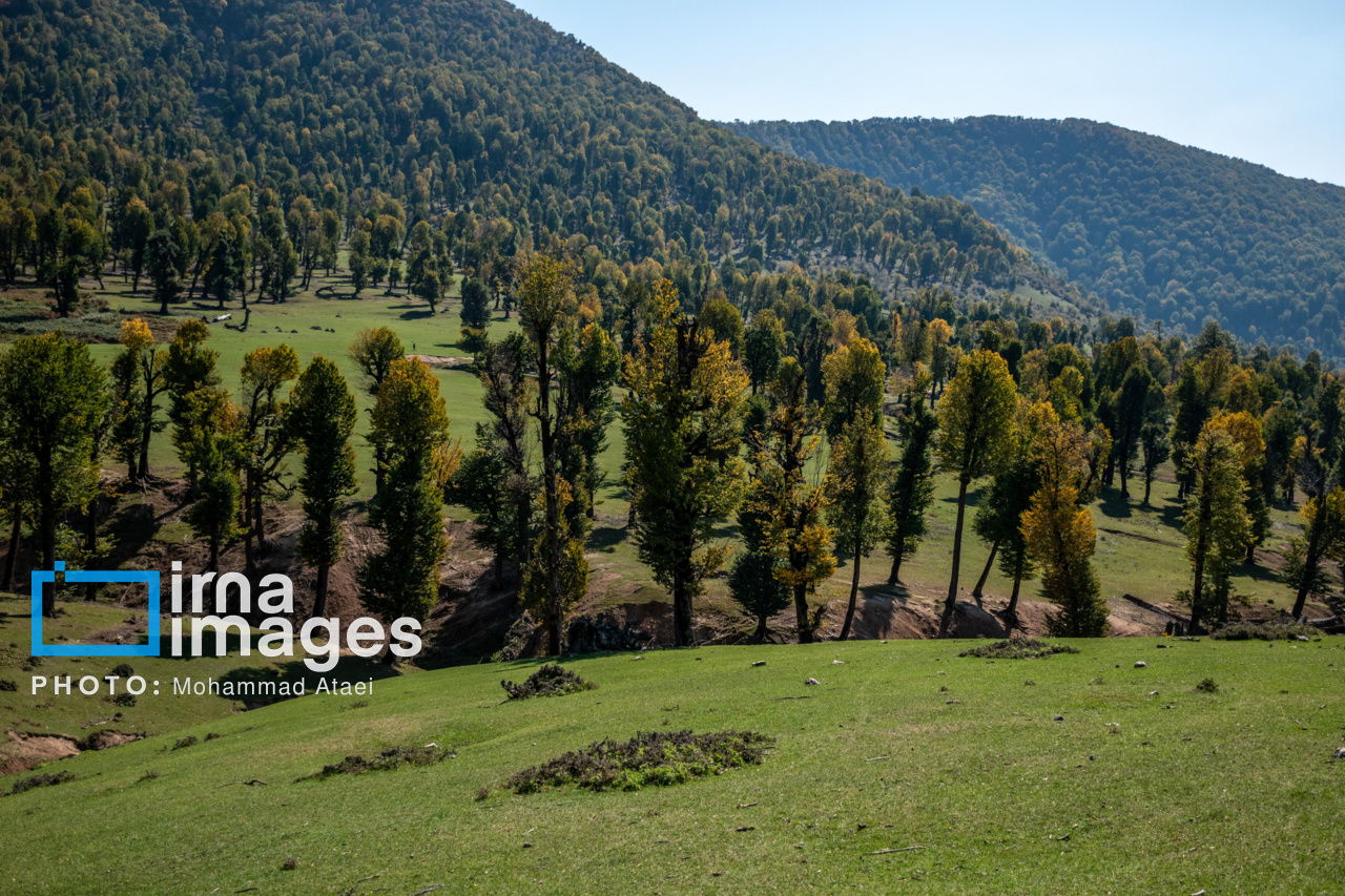 دشت مرکوه در استان گلستان