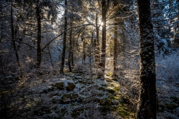 Hiver 2025: nature enneigée des hauteurs de la province de Golestan au nord