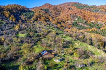 L'automne dans les forêts hyrcaniennes expose la magie de la nature dans chaque feuille. Le paysage intact et pittoresque de ces forêts en automne montre l'importance historique et la diversité végétale de ce trésor naturel iranien. 