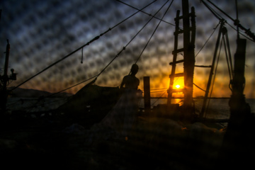 Pesca de camarones y peces en el Golfo Pérsico