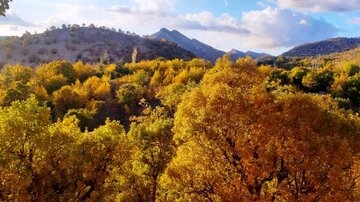 پاییز در روستای طولاب میشخاص