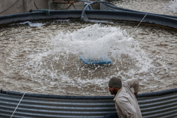 طرح‌های اشتغال‌زایی در خوزستان