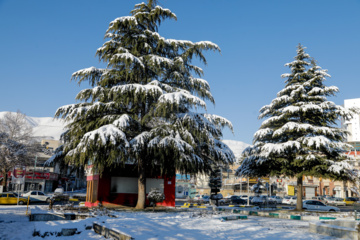 Iran : chute de neiges à Sanandaj 